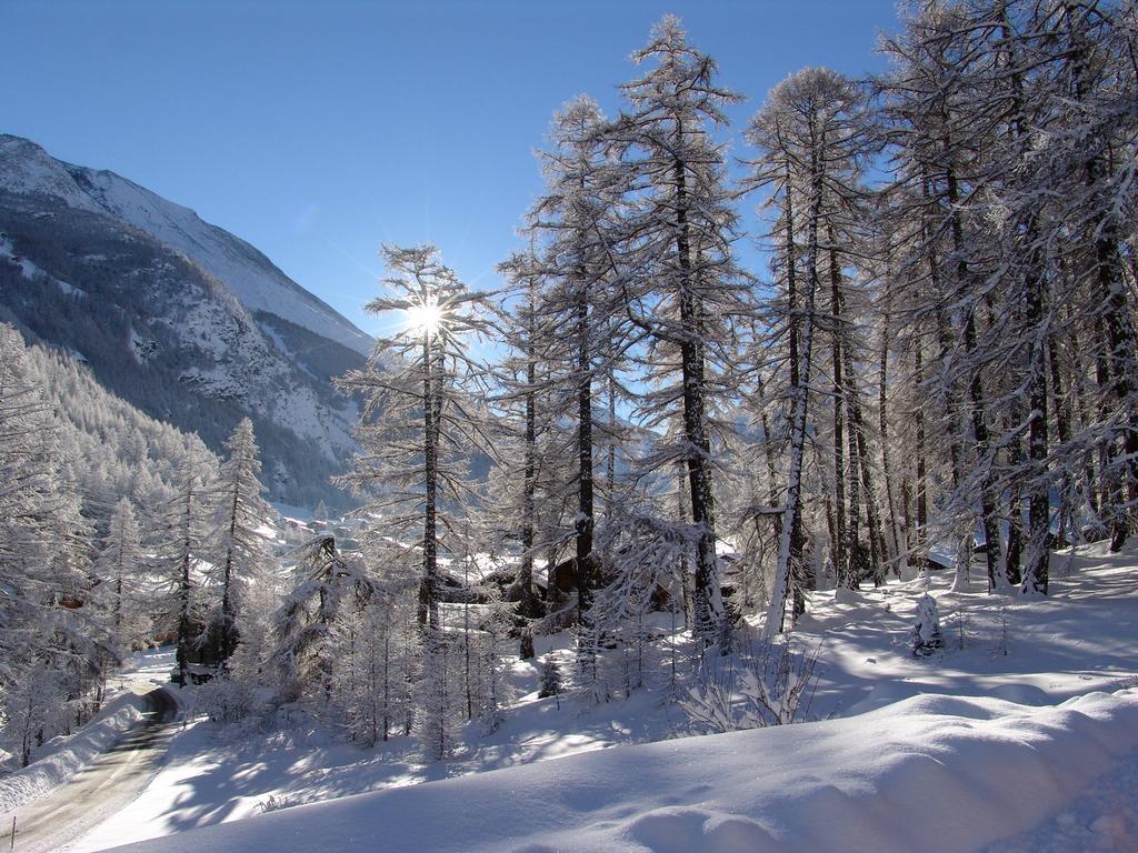 Haus Erle Appartement Saas-Grund Buitenkant foto